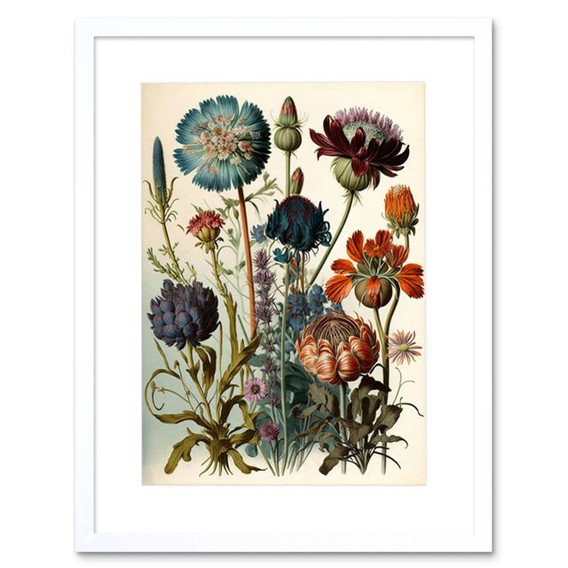 "Artery8 Wall Art Print Vintage Botanical Ernst Haeckel Inspired Plant Study Modern Watercolour Painting Artwork Framed 9X7 Inch - Size: W7"" x H9""" - image 1