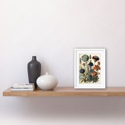 "Artery8 Wall Art Print Vintage Botanical Ernst Haeckel Inspired Plant Study Modern Watercolour Painting Artwork Framed 9X7 Inch - Size: W7"" x H9""" - thumbnail 2