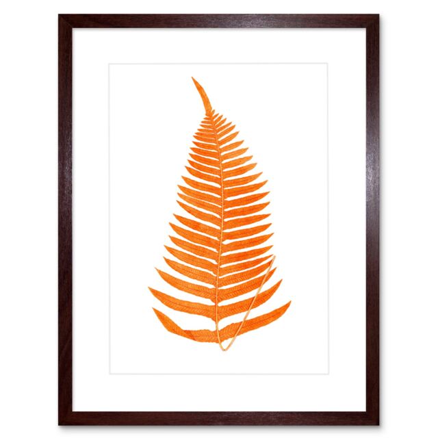 "Artery8 Wall Art Print Botanics Red Orange Fern Art Black Framed 9x7 inch in Brown - Size: W7"" x H9""" - image 1
