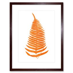 "Artery8 Wall Art Print Botanics Red Orange Fern Art Black Framed 9x7 inch in Brown - Size: W7"" x H9""" - thumbnail 1