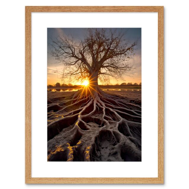 "Artery8 Wall Art Print Sunset on Ancient Tree Atmospheric Photograph Large Roots Autumn Artwork Framed 9X7 Inch in Beige - Size: W7"" x H9""" - image 1