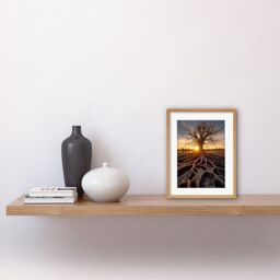 "Artery8 Wall Art Print Sunset on Ancient Tree Atmospheric Photograph Large Roots Autumn Artwork Framed 9X7 Inch in Beige - Size: W7"" x H9""" - thumbnail 2