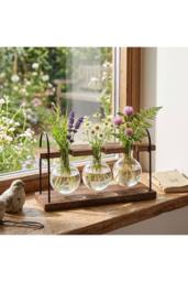 Living and Home 3Pcs Desktop Glass Bulb Vases with Stand for Hydroponic Plants in Walnut - thumbnail 3