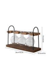 Living and Home 3Pcs Desktop Glass Bulb Vases with Stand for Hydroponic Plants in Walnut - thumbnail 6