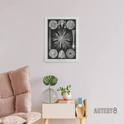 "Artery8 Sea Urchin Ocean Beach Haeckel Botanical Canvas Wall Art in Black - Size: W18"" x H24""" - thumbnail 3