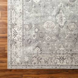 Livabliss Becki Owens Darling -Washable Brown Green Traditional Vintage Boho Living Dining Rug in Khaki - Size: 200 cm x 275 cm - thumbnail 7