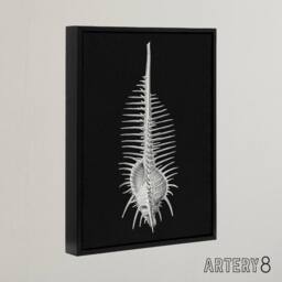 "Artery8 Sea Shell Sketch on Black Haeckel Botanical Black Framed Canvas Art - Size: W12"" x H16""" - thumbnail 2