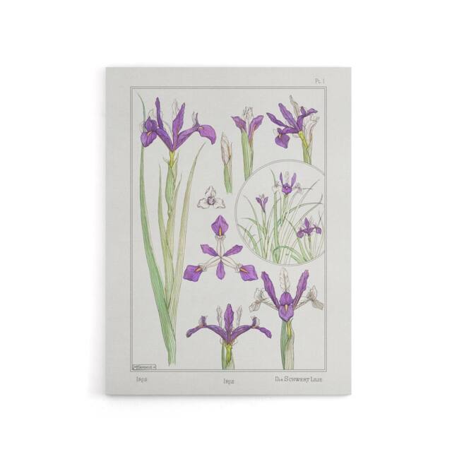"Artery8 Purple Iris Flower Canvas Wall Art Print Vintage Floral Verneuil in White - Size: W18"" x H24""" - image 1