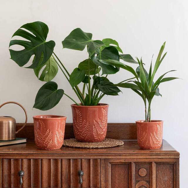 Ivyline Kew Embossed Fern Rust Planter H17cm D18cm in Burnt Orange - image 1