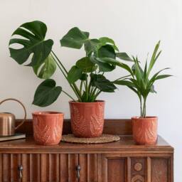 Ivyline Kew Embossed Fern Rust Planter H17cm D18cm in Burnt Orange - thumbnail 1