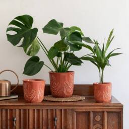 Ivyline Kew Embossed Fern Rust Planter H17cm D18cm in Burnt Orange - thumbnail 5