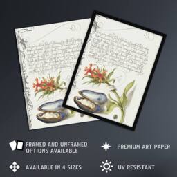 "Artery8 Flower Mussel & Ladybird Calligraphy Wall Art Poster Print in White - Size: W24"" x H32""" - thumbnail 2
