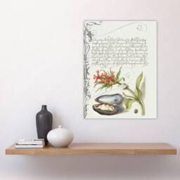 "Artery8 Flower Mussel & Ladybird Calligraphy Wall Art Poster Print in White - Size: W24"" x H32""" - thumbnail 4
