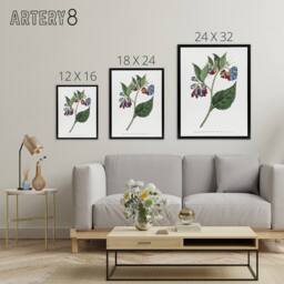 "Artery8 Sansom Vintage Botanical Prickley Comfrey Flowers Framed Canvas Art in White - Size: W12"" x H16""" - thumbnail 4