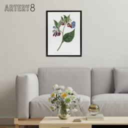 "Artery8 Sansom Vintage Botanical Prickley Comfrey Flowers Framed Canvas Art in White - Size: W12"" x H16""" - thumbnail 3