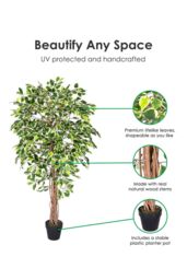 Homescapes Luxury 6ft Ficus Tree Variegated Artificial Plant, Real Stem, 180cm in Green - thumbnail 2