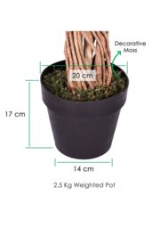 Homescapes Luxury 6ft Ficus Tree Variegated Artificial Plant, Real Stem, 180cm in Green - thumbnail 3