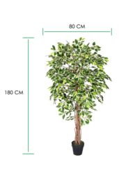 Homescapes Luxury 6ft Ficus Tree Variegated Artificial Plant, Real Stem, 180cm in Green - thumbnail 4