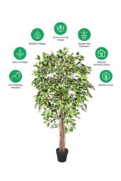 Homescapes Luxury 6ft Ficus Tree Variegated Artificial Plant, Real Stem, 180cm in Green - thumbnail 5
