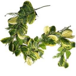 Leaf 180cm Artificial Garland Hanging Trailing Golden Ficus Plant in Yellow - thumbnail 1