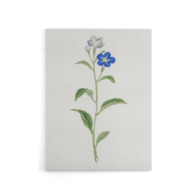 "Artery8 Blue Flower Canvas Wall Art Print Vintage Japanese Botanical in White - Size: W18"" x H24""" - image 1