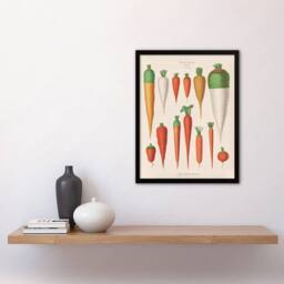 Artery8 Carrots Vegetables Kitchen Ernst Benary Framed Wall Art Print in White - Size: A4 - thumbnail 4