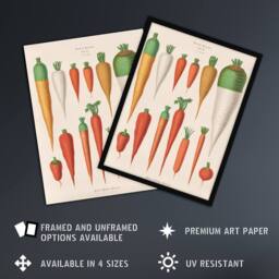 Artery8 Carrots Vegetables Kitchen Ernst Benary Framed Wall Art Print in White - Size: A4 - thumbnail 2
