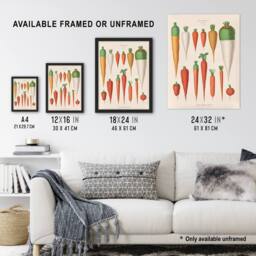 Artery8 Carrots Vegetables Kitchen Ernst Benary Framed Wall Art Print in White - Size: A4 - thumbnail 3