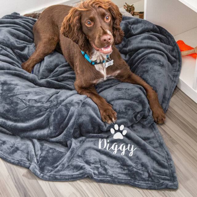 Duncan Stewart Personalised Dog Blanket Throw in Grey - image 1