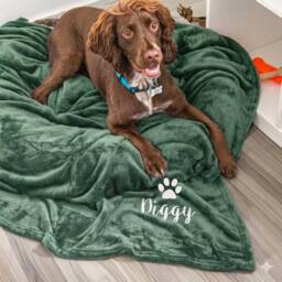 Duncan Stewart Personalised Dog Blanket Throw in Grey - thumbnail 3