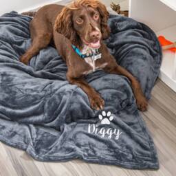 Duncan Stewart Personalised Dog Blanket Throw in Grey
