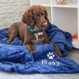 Duncan Stewart Personalised Dog Blanket Throw in Grey - thumbnail 5