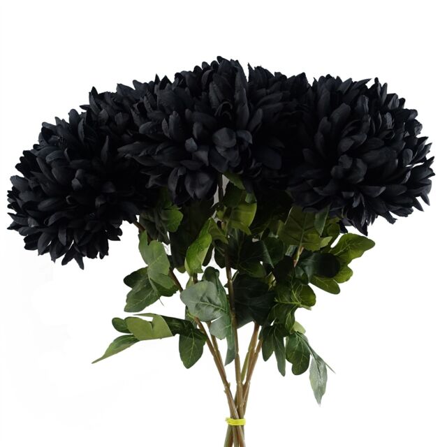 Leaf Pack of 6 x 75cm Extra Large Reflex Chrysanthemum - Black - Size: 6 x 75 cm - image 1