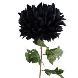 Leaf Pack of 6 x 75cm Extra Large Reflex Chrysanthemum - Black - Size: 6 x 75 cm - thumbnail 6
