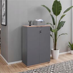 FWStyle 2 Door Lockable Office Storage Cabinet Anthracite Grey - thumbnail 1