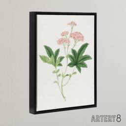 "Artery8 Shimotsuke Flower Framed Canvas Wall Art Print Vintage Japan Botanical in Pink - Size: W18"" x H24""" - thumbnail 2