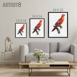 "Artery8 The Crimson Shining Parrot Levaillant Framed Canvas Wall Art Print in White - Size: W12"" x H16""" - thumbnail 4