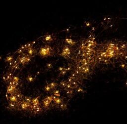 Leaper 10 Silver Wire 200LED Warm Light Solar LED Decorative Waterfall Lights in Yellow - thumbnail 3