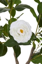 Living and Home 90cm Artificial White Camellia Tree Potted for Garden, Office & Home Decor - thumbnail 5