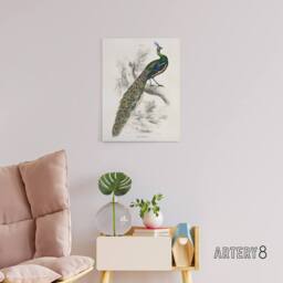 "Artery8 Male Peafowl Peacock Sir William Jardine Vintage Canvas Wall Art in White - Size: W18"" x H24""" - thumbnail 3