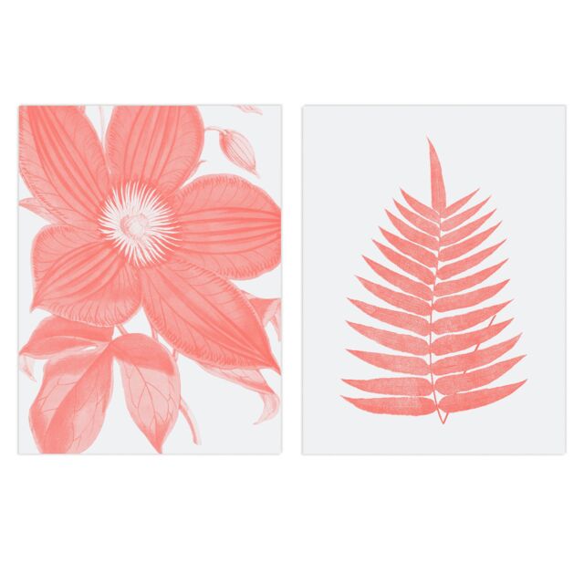 Artery8 Wall Art Print Pack of 2 A4 Calm Flower & Fern Frond Coral Pink Plant Botanical Aesthetic Living Room s Set - image 1