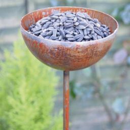 Poppyforge Bowl Plant Pin 4Ft (BM/RtR) (Pack of 3) - Steel - H120 cm in Brown - thumbnail 2