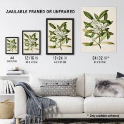 Artery8 New Zealand Tawari Plant Flowers Featon Framed Wall Art Print in Beige - Size: A4 - thumbnail 3