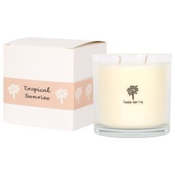 Nicola Spring 400g Soy Wax Scented Candle - Tropical Sunrise - Aromatherapy Jar Candle in Clear - thumbnail 1