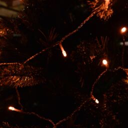 Samuel Alexander 200 LED 16m Premier Christmas Outdoor Lights Timer Clear Cable in Vintage Gold - thumbnail 3