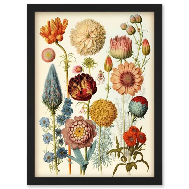 Artery8 Vintage Botanical Illustration Ernst Haeckel Style Plant Study Modern Watercolour Painting Artwork Framed Wall Art Print A4 in Black - image 1