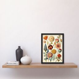 Artery8 Vintage Botanical Illustration Ernst Haeckel Style Plant Study Modern Watercolour Painting Artwork Framed Wall Art Print A4 in Black - thumbnail 2