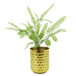 Leaf 55cm Himilayan Maidenhair Fern Bush Light Green Plant - thumbnail 3