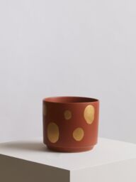 Orsina Big Garden Pot, Speckled Ceramic Planter for Indoor Plants & Home Decor, Indoor Plants pot, Large Flower & Plant Pot in Terracotta - thumbnail 2