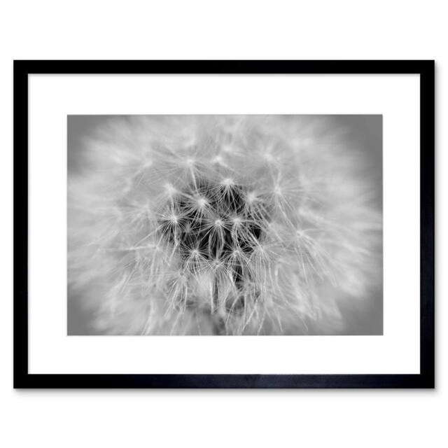 "Artery8 Photo Black White Dandelion Seeds Home Decor 12x16"" Framed Art Print in Grey - Size: W12"" x H16""" - image 1